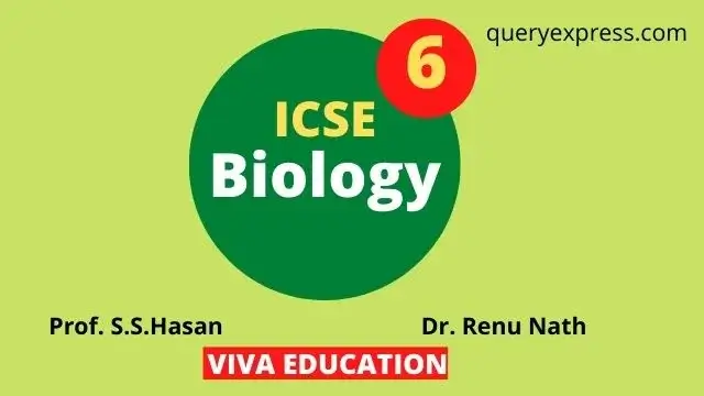 Icse class 6 Biology chapter 1 solution