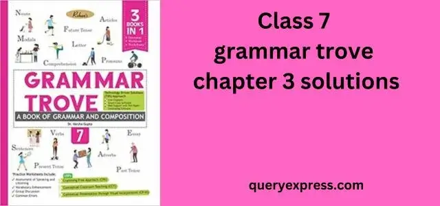 Class-7-grammar-trove-chapter-3-solutions