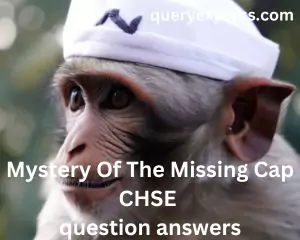 Mystery Of The Missing Cap CHSE question answers