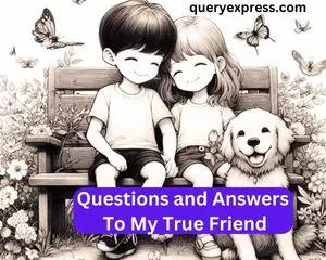 Questions and Answers To My True Friend