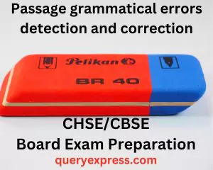 Passage grammatical errors detection and correction