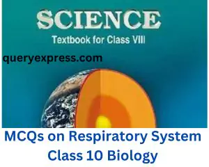 MCQs on Respiratory System Class 10 Biology