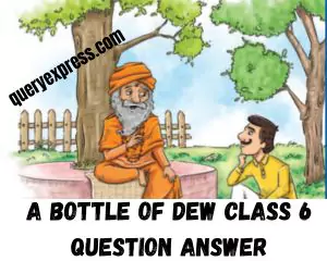 A bottle of dew class 6 question answer