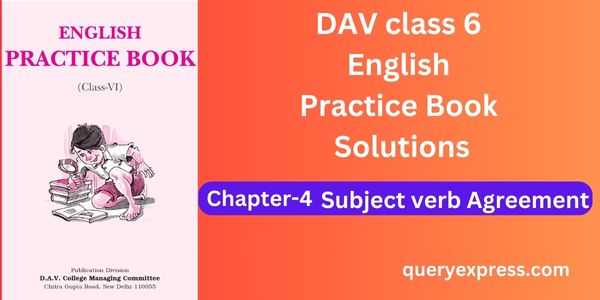 Class 6 Dav English Practice book Chapter 4 Solutions