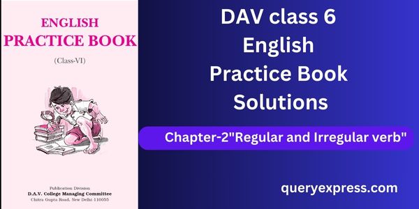 Class 6 Dav English practice book solutions chapter 2