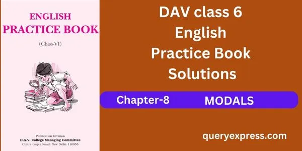 DAV Class 6 English Practice Book Chapter 8 Solutions