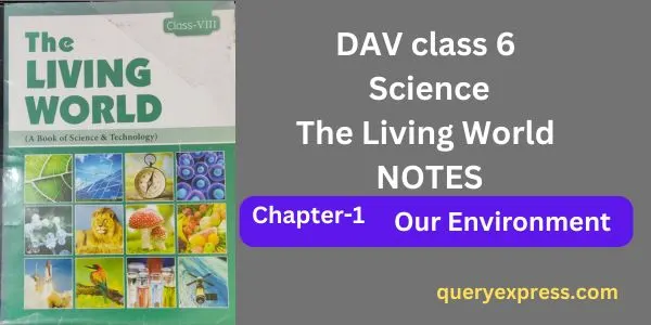DAV Class 6 Science Chapter 1 notes