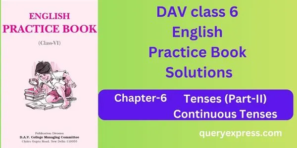 DAV class 6 English practice book solutions