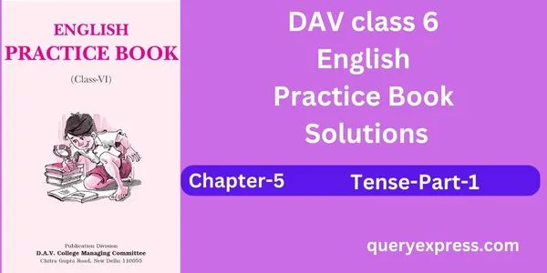 Dav Class 6 English Practice Book Chapter 5 Solutions