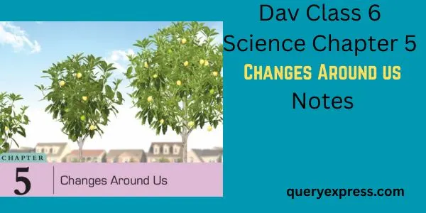 Dav Class 6 Science Chapter 5 Notes